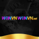 winvnwinvnnet