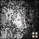 bbrown127 Avatar