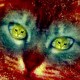 karmaral Avatar