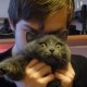 artem_zin