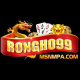 rongho99msnmpa