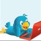 TimEckorote Avatar