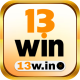13Win's user avatar