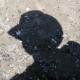 FloatingCoder Avatar