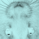 Subsentient Avatar