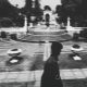 mohsin-raja