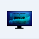 share301