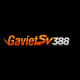 gavietsv388pro's avatar
