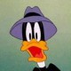 brunosardinepi Avatar