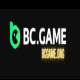 Foto del perfil de Bcgame