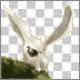 Slotos Avatar