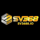 Profile picture of sv3688io