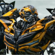 bumblebee3