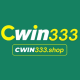 Profile picture of cwin333 shop