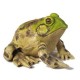 bargar Avatar