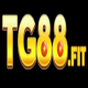 Tg88fit