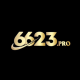 6623pro