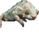 fizbin