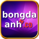 bongdaanhco