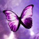 Avatar de mrk3004