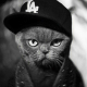 Profile picture of Derek MCccain