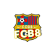 Profile picture of Link FCB8