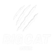 Profile picture of bigcatcues
