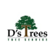 D's Trees's user avatar