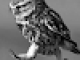 user avatar image for Hazel