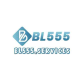 Foto del perfil de bl555services