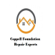 CoppellFoundationRepairExperts's user avatar