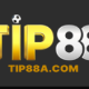 Nhà Đài TIP88A