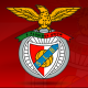 Benfica Positivo