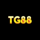 Foto del perfil de TG88