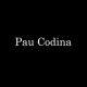 Foto del perfil de Pau Codina