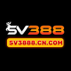 Foto del perfil de sv3888cncom