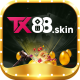 tx88skin