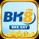 Foto del perfil de BK8
