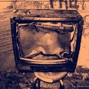 יהונתן פנקס - פסיכולוג