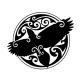 elcuervo profile image