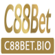 c88betbio's avatar
