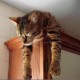 Profile picture of amro