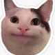 tmm