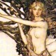 Author's avatar image