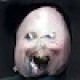 Profile picture of Alexander Knight