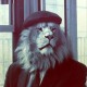 Avatar de Tio Lipe - Ir para o perfil