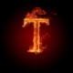 Profile picture of TheTomanatorS