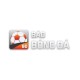 Profile picture of Baobongda