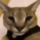 Profile picture of ambatupray