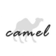 camel2243